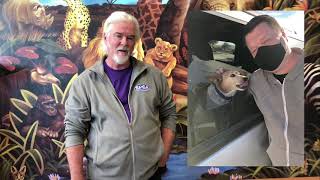 SPCA of Northern Nevada Overview