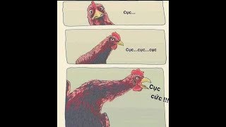 Cục sì lầu ông bê lắp.Bò một sừng là con tê giác