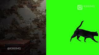 Blender Green Screen Cat Animation Blender Eevee Blender Vfx