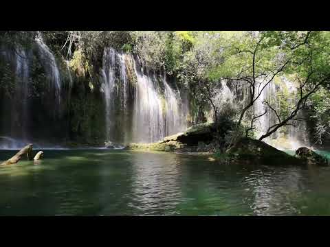 RELAXING SLEEP MUSIC: DEEP SLEEPING MUSIC, RELAXING MUSIC, STRESS RELIEF, MEDITATION MUSIC,YOGA