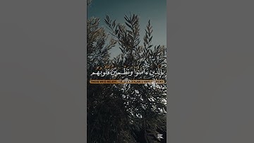﴿ أَلَا بِذِكْرِ اللَّهِ تَطْمَئِنُّ الْقُلُوبُ ﴾ [الرعد: 28] #القرآن #اكسبلور #المصحف #تلاوة