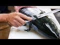 Nourriture japonaise  sriole chicard sashimi poisson brais japon fruit de mer