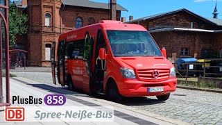 SNB Forst | Mitfahrt PlusBus 858: Guben Bhf–Forst Bhf | MB/Steinborn Sprinter 516 CDI