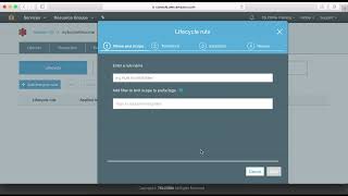 3. 4  Life Cycle Management