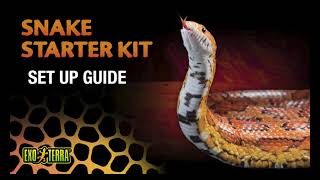 Snake Starter Kit