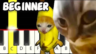 Chipi Chipi Chapa Chapa & Banana Cat Remix - Fast and Slow (Easy) Piano Tutorial - Beginner