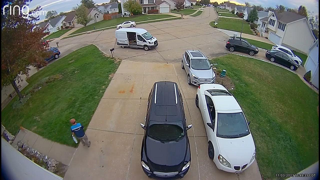 Simba Greets Delivery Driver YouTube