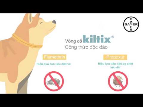 Kiltix - Magiq Box
