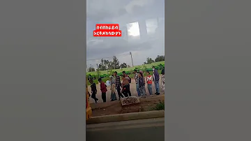 ያላንተ ክብር የለኝም ኦርቶዶክስ መዝሙር አማኑኤል ማርያም ንስሐ ንግስ በዓል አክሊል እፎይ Mezmur Viralshorts Viralvideo 