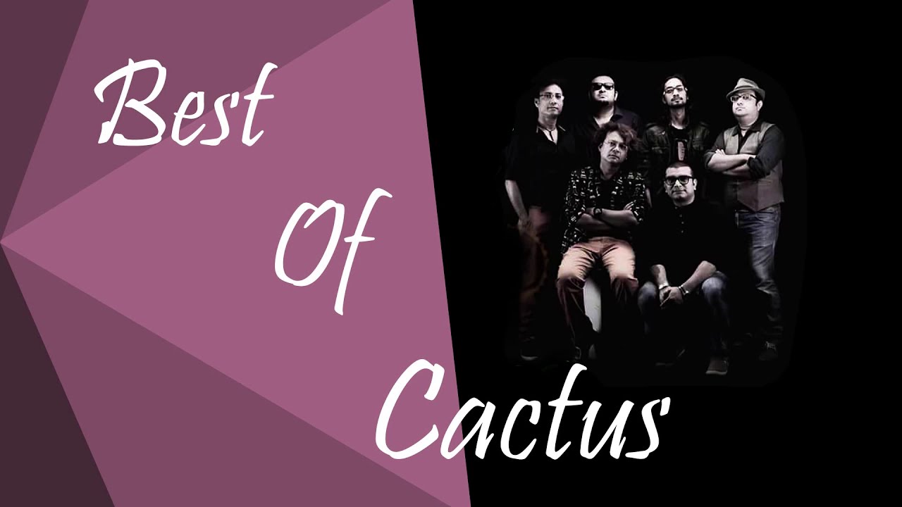 Best of Cactus Part 1