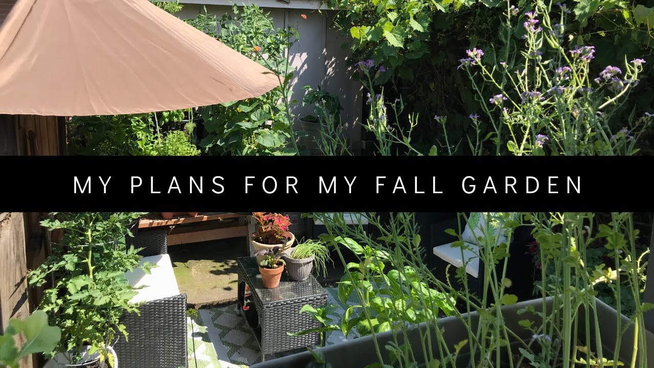 what-i-m-planting-in-my-fall-garden-2020-zone-6b-youtube