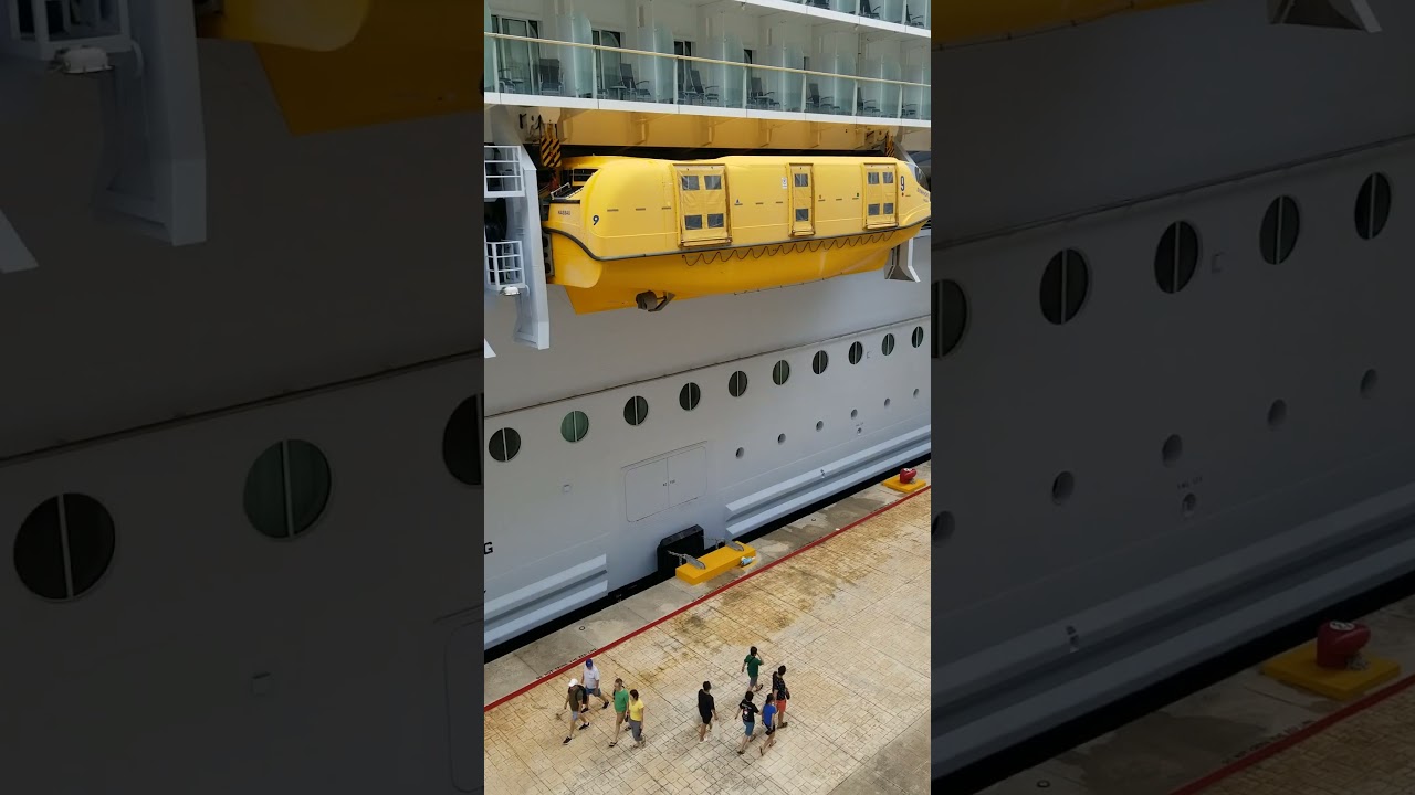 ICON OF THE SEAS