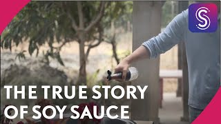 The true story of soy sauce