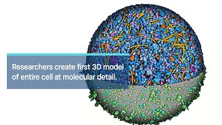 Researchers create first 3D model of entire cell at molecular detail