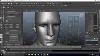 Zbrush Man Rig