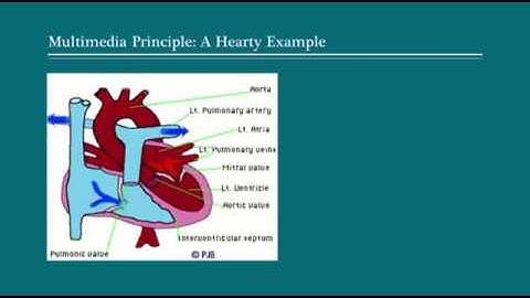 The Multimedia Principle