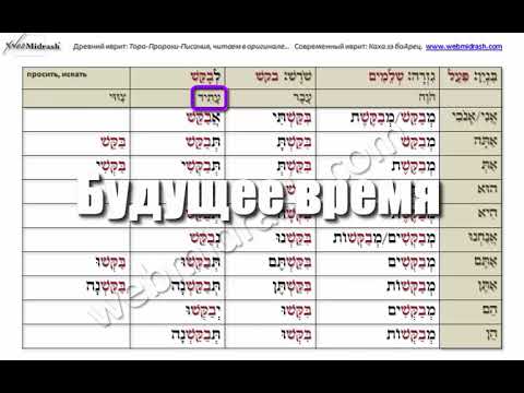 ИВРИТ Глагол ПРОСИТЬ, ИСКАТЬ לבקש. Доктор Леви Шептовицкий