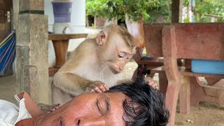 ASMR Monkey Zueii Hypnotize Asmr Sounds While She Grooming Grandpa