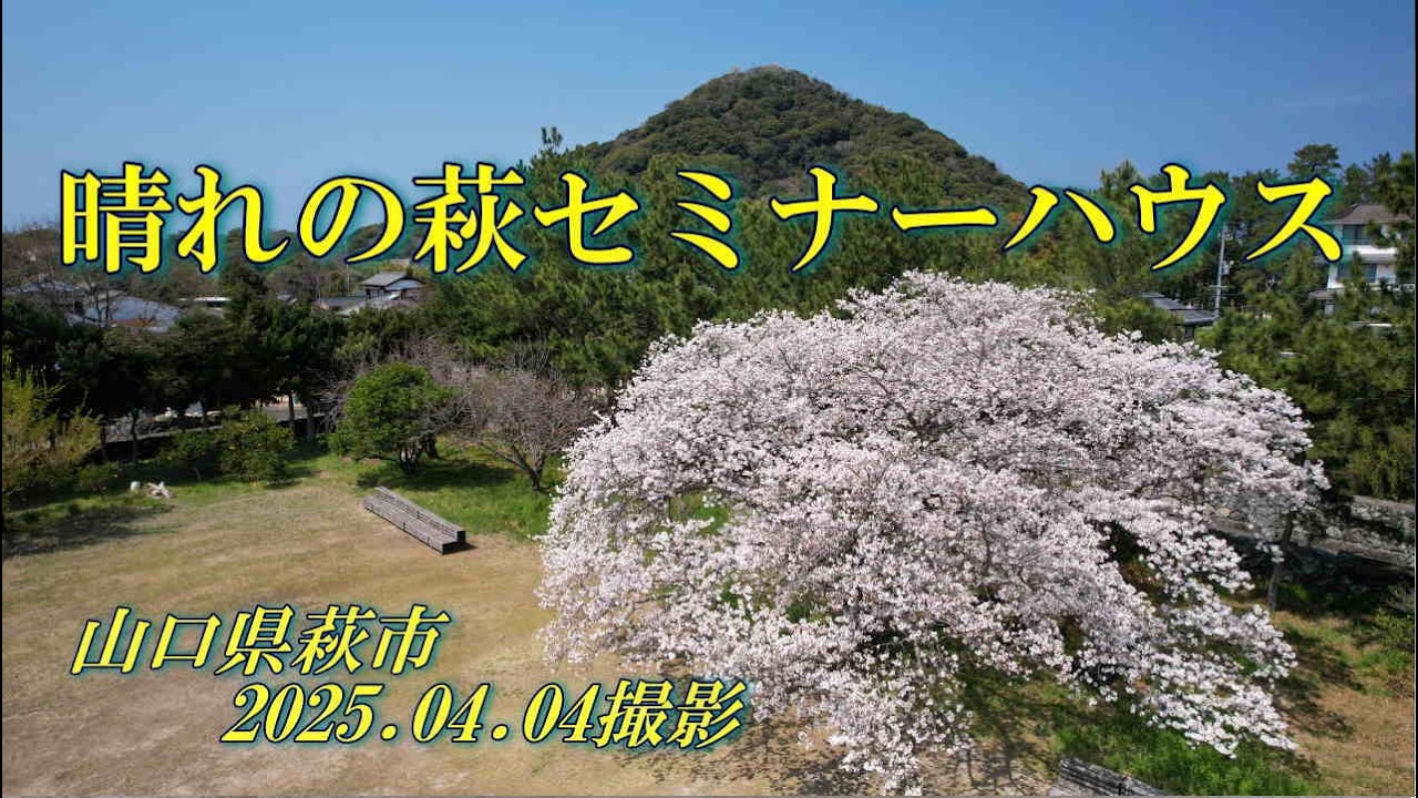 晴れの萩セミナーハウス　2025.04.04撮影