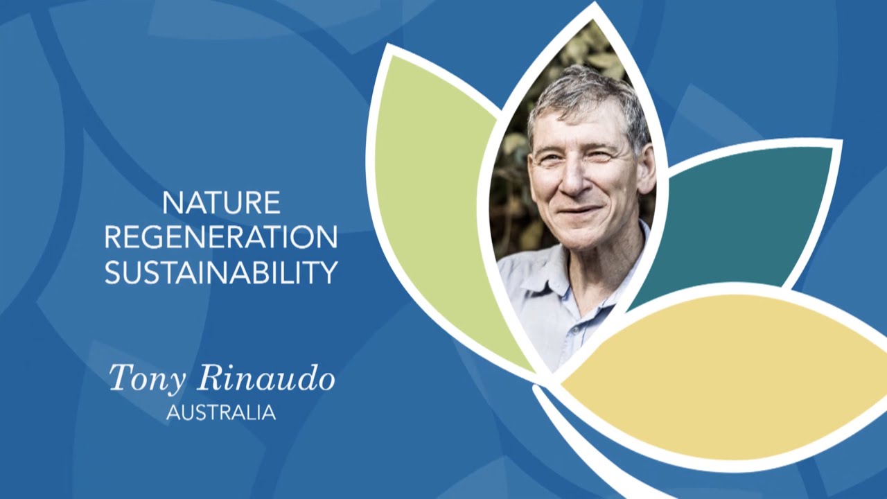Tony Rinaudo – Right Livelihood Award Laureate 2018 - YouTube