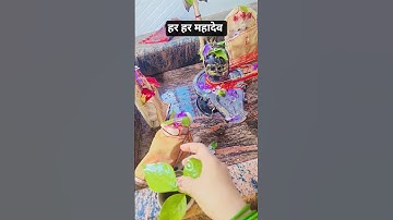 शिवजी भगवान पर एक लोटा जल और बेलपत्र का उपाय#श्री शिवाय नमस्तुभ्यं