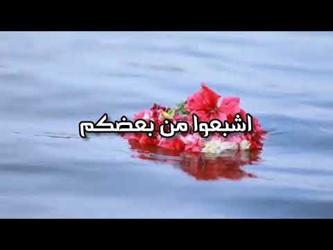 اشبعوا من بعضكم