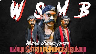 THE REAL WAROK JARUM-JARUM WSMB !!! Wahyu Satrio Manunggal Budoyo Klegen Grabag Magelang