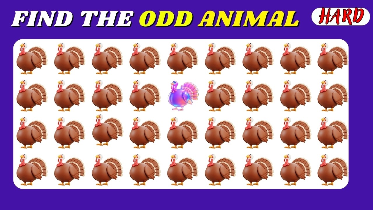 ⭐ Only 1% Can Spot the Odd Animal 🐯👀  Kitty Quiz