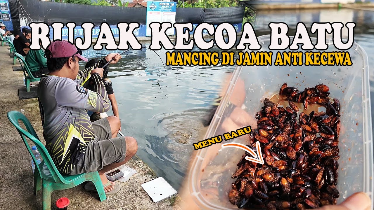 RUJAK KECOA❗❗MENU BARU UMPAN USMAN ❗❗DI JAMIN LELE LANGSUNG DOYAN INI MAH BRODIE 🔥🔥