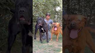 فرح المعلم باجيرا.🩵🩷🩷