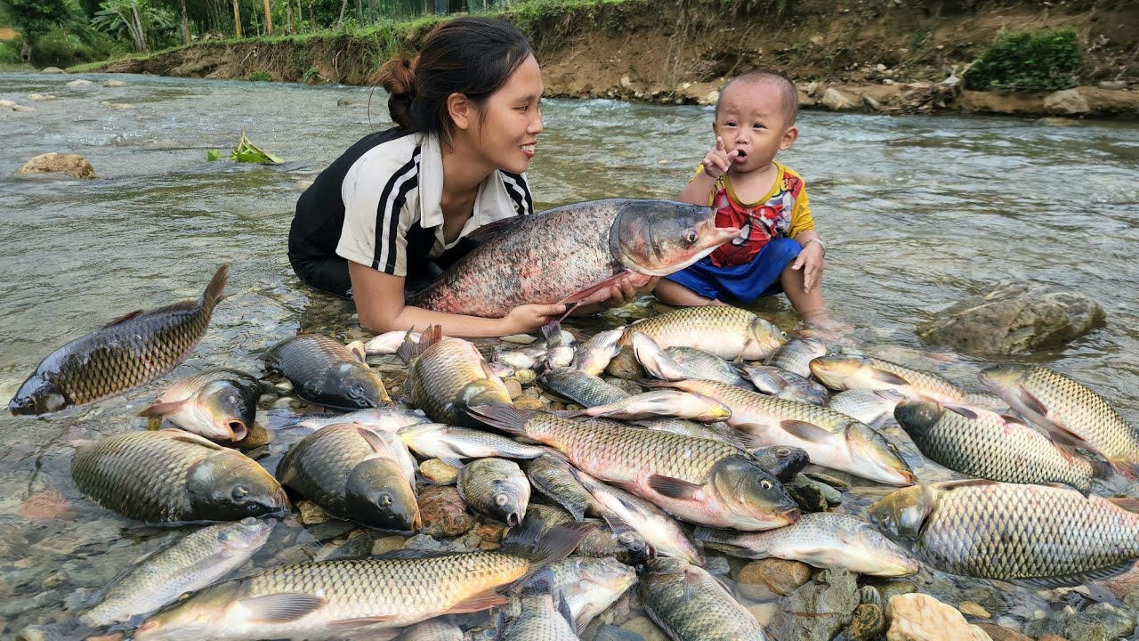 3 days of heavy rain: encounter giant schools of fish - catch fish and ...