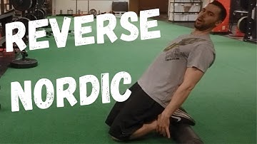 Reverse Nordic Exercise (Beginner to Advanced)
