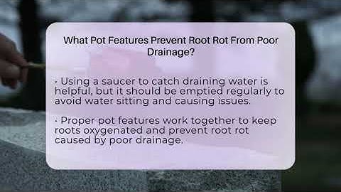 What Pot Features Prevent Root Rot From Poor Drainage? - The Plant Enthusiast