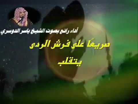 يالاهيا في غمرة الجهل والهوي