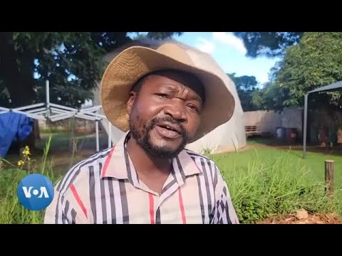 Mutori WeNhau Watmore Makokoba Otaura Maonero Ake PaMashoko Akaturwa NaVaDonald Trump Chipiri Usiku 