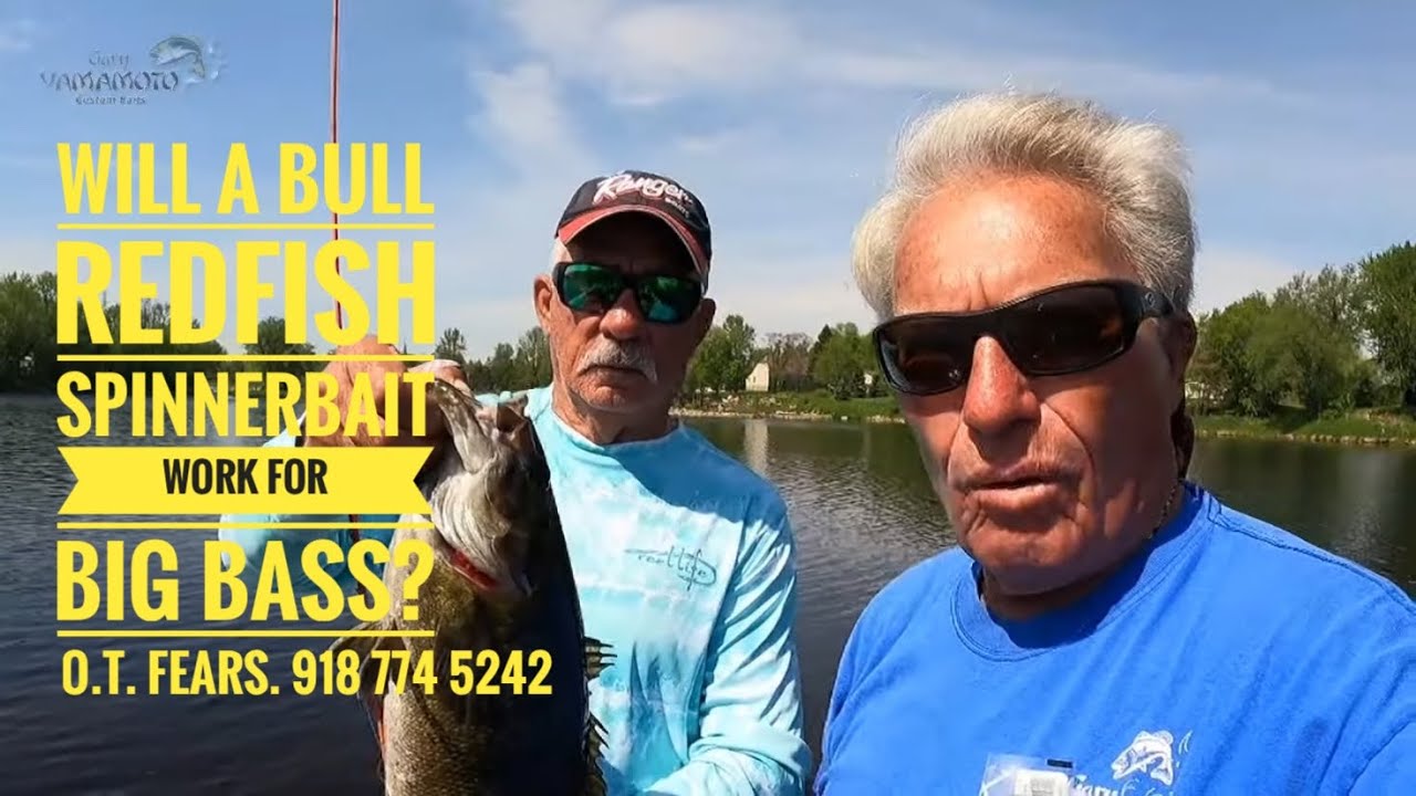 Will a Spinnerbait for Bull redfish work for big bass? 