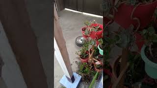 Suv Bu Obihayot Tejab Ishlatsak Afrikadek Bolib Kolmaydi