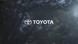 Toyota Madeira 50th Anniversary