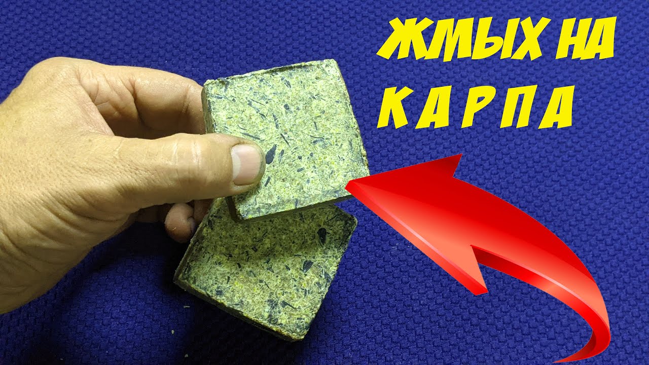 Как сделать уловистую макуху для макушатника - YouTube