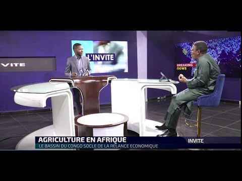 AGRICULTURE EN AFRIQUE : LES SECRETS  POUR LA RELANCE DE L'ECONOMIE AFRICAINE .