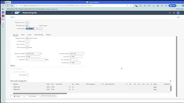SAP Fiori (WM Process 4) - Step 9 Display bin status report