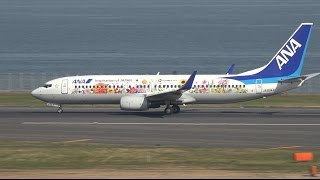 ANA Tohoku Flower Jet Livery Boeing 737-800 JA85AN Takeoff from HND 34R