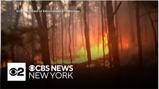 Celebrity Crews make progress on wildfire in southern New Jersey Net Worth