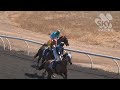 View race 2 video for 2026-07-18