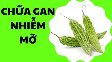 Chữa Bệnh Gan Nhiễm Mỡ - Mướp Đắng | Mẹo chữa bệnh
