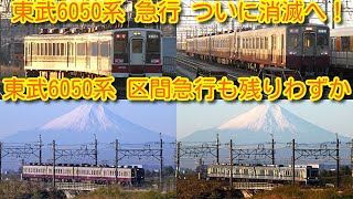 【東武6050系 急行 ついに消滅へ！2021年12月7日より】東武6050系 さらに2運用減(残り2運用) 急行は、全て20400系に置き換え、区間急行がわずかに残る