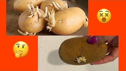 ¿Se pueden comer patatas germinadas?