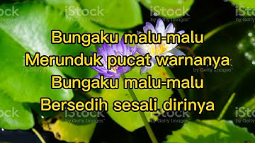 Lirik Nazia Marwiana ft Ageng Music - Bunga Dahlia (Official Live Music)https://youtu.be/pm8Obus4_6Q