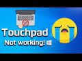 How To Fix Touchpad On Windows 10 [2024] Tutorial