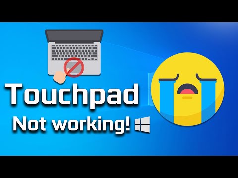 Video: Hvad skal man gøre, hvis touchpad'en på den bærbare computer holder op med at fungere?